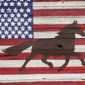 Meet your Posher, Anne